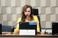 Aprovada a criação do Dia Nacional dos Desbravadores