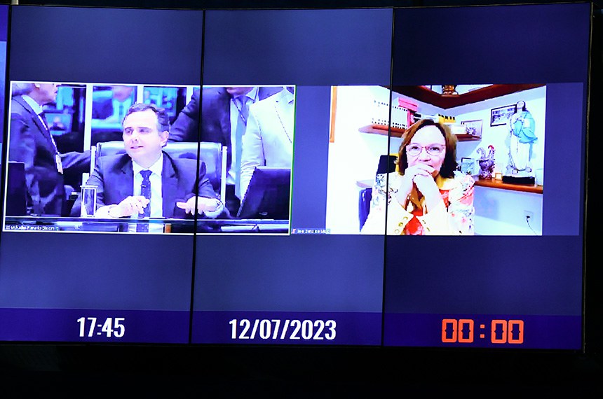 Relatora do PL 1.096/2019, senadora Zenaide Maia (PSD-RN), via videoconferência.