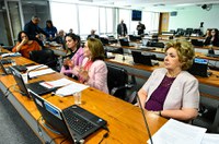 CDH aprova criação do Programa Pró-Acessível