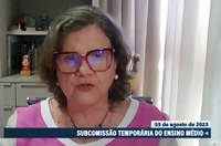 Novo Ensino Médio: subcomissão encerra debates e foca em relatório final