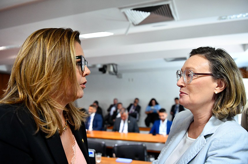 Bancada:
senadora Leila Barros (PDT-DF);
deputada Maria do Rosário (PT-RS).