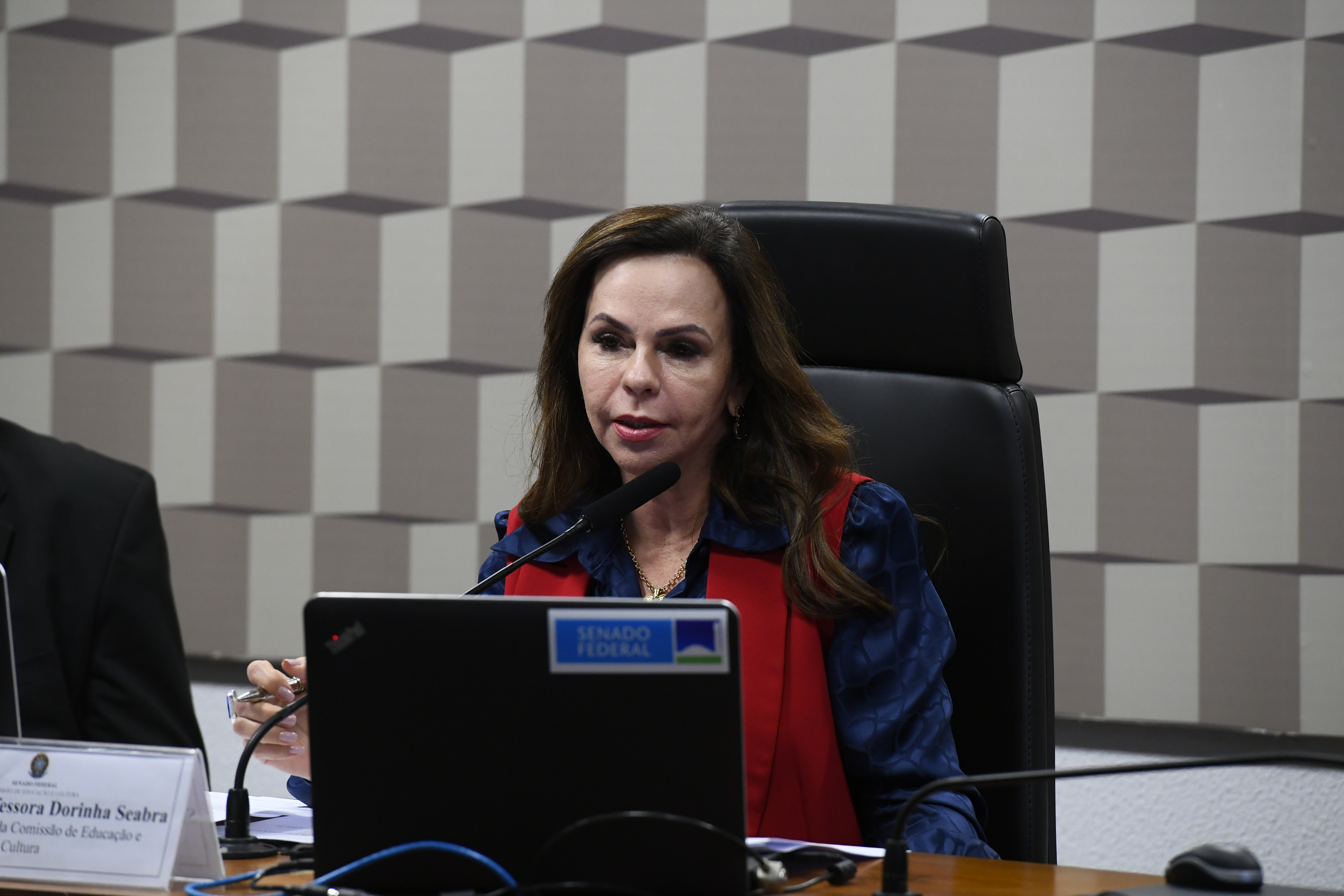 Mesa: 
vice-presidente da CE, senadora Professora Dorinha Seabra (União-TO).