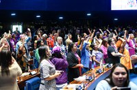 Homenagem à Marcha das Margaridas evidencia demanda por igualdade