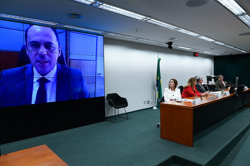 Em pronunciamento via videoconferência, secretário Adjunto Secretaria de Inovação, Desenvolvimento Sustentável, Irrigação e Cooperativismo (MAPA), Pedro Neto.