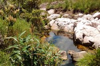 Lei regula recomposição da vegetação em nascentes