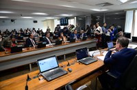 CAE aprova Programa Nacional de Crédito ao Jovem Empreendedor