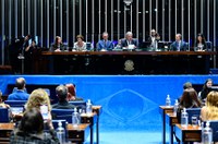 Papel da Conab na regulação de alimentos é destacado em sessão