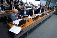 Grupo parlamentar Brasil-Líbano é aprovado pela CRE
