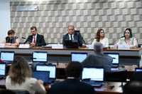 Regulamentação de serviços de streaming divide opiniões em audiência na CE