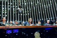 Em sessão especial, profissionais de educação física defendem sua importância