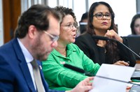 Diretora do Imazon nega que projetos da ONG atendam interesses estrangeiros