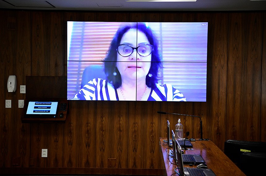 Convidados: 
representante da Subsecretaria de Educação Básica da Secretaria de Estado de Educação do Distrito Federal, Ana Beatriz Nunes Pereira Goldstein; 
coordenadora da Comissão Executiva do Conselho de Representantes dos Conselhos de Escola (Crece), Débora Greice dos Santos Goes; 
presidente da Associação pela Saúde Emocional (Asec), Juliana Fleury; 
presidente da Associação Nacional das Universidades Particulares (Anup) e da Rede Mondó, Elizabeth Guedes; 
consultora, professora e conselheira educacional, Andreia Medrado Serrano.