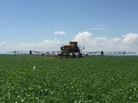 CMA decide sobre atualização da Lei dos Agrotóxicos nesta quarta