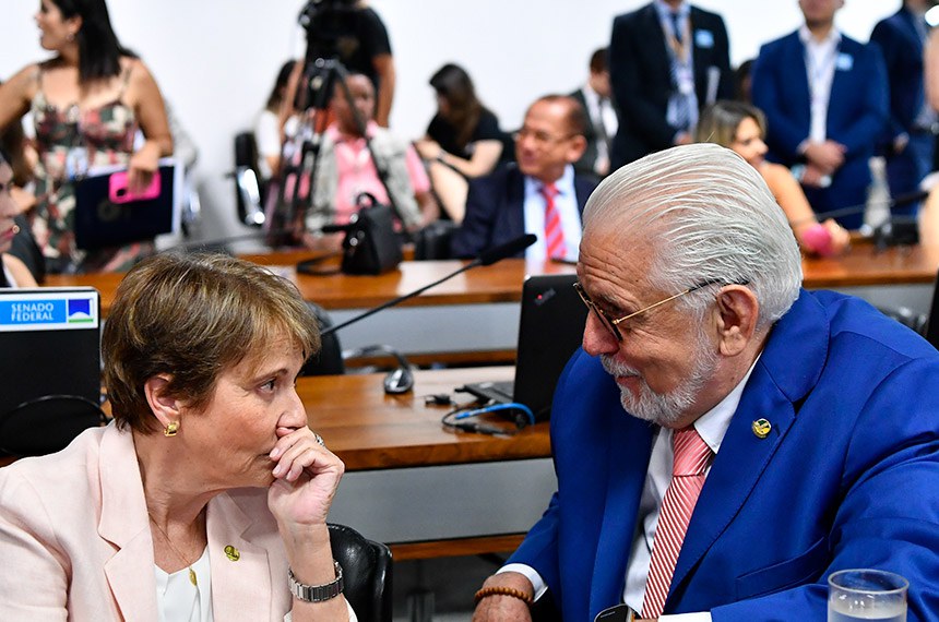 Mesa: 
presidente da CMA, senadora Leila Barros (PDT-DF).