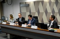 Em debate na CCJ, técnicos dos estados pedem ajustes na reforma tributária