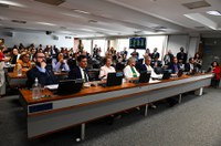 Senadores divergem sobre decisão do STF na questão do marco temporal