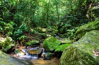 Sancionada lei que reforça Fundo Nacional do Meio Ambiente