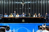 Sessão do Dia do Nascituro tem críticas ao STF e defesa da vida desde a concepção