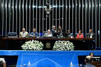 Sessão especial pelo Dia Mundial do Algodão evidencia protagonismo do Brasil