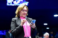 Bolsa Família para vítimas de violência doméstica é aprovada na CDH