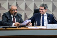 Proibição de fogos de artifício sonoros está na CCJ