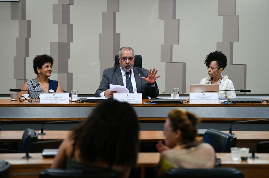 Mesa: 
diretora de Educação para as Relações Étnico-Raciais e Educação Escolar Quilombola (Secadi/MEC), Lucimar Rosa Dias;
presidente da CDH, senador Paulo Paim (PT-RS).
professora da Universidade Federal de Ouro Preto (Ufop) e atual secretária da Secretária da Secretaria de Educação Continuada, Alfabetização de Jovens e Adultos, Diversidade e Inclusão (Secadi), Zara Figueiredo.