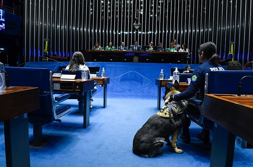 Mesa: 
vice-presidente da Comissão de Defesa dos direitos dos animais da Ordem dos Advogados do Brasil do Distrito Federal e representante do Fórum Nacional de Proteção e Defesa Animal, Ana Paula Vasconcelos;
presidente da Comissão Especial de Direito Animal da Ordem dos Advogados do Brasil do Rio Grande do Norte, Juliana Rocha Pinheiro;
vereador do Município de Maceió (AL) e fundador da ONG Instituto Social de Assistência à Comunidade (Amadal), José Siderlane Araújo de Mendonça; 
presidente e requerente desta sessão, senador Styvenson Valentim (Podemos-RN);
secretário-geral da Mesa do Senado Federa dessa sessao;
vice-presidente da Comissão dos Direitos dos Animais da Ordem dos Advogados do Brasil (DF), Arthur Henrique de Pontes Regis;
presidente da Comissão de Defesa e Proteção dos Animais da Ordem dos Advogados do Brasil de Pernambuco, Anaís Maria Ferreira de Araújo;
co-fundadora do Projeto Resgato, Ana Carolina Barros Santana.