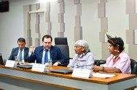 Indígenas ouvidos na CPI das ONGs defendem 'roça mecanizada'