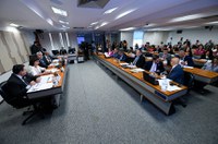 Saúde: senadores defendem atenção primária e vacinação em audiência com Nísia