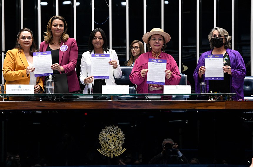 Mesa:
senadora Eliane Nogueira (PP-PI);
moderadora da Mesa, procuradora Especial da Mulher no Senado Federal, senadora Leila Barros (PDT-DF);
líder da Bancada Feminina no Senado Federal, senadora Eliziane Gama (Cidadania-MA);
moderadora da Mesa, procuradora da Mulher na Câmara dos Deputados, deputada Tereza Nelma (PSD-AL);
deputada Erika Kokay (PT-DF).