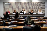 Dados de violência contra mulher são essenciais para combater problema, diz Zenaide