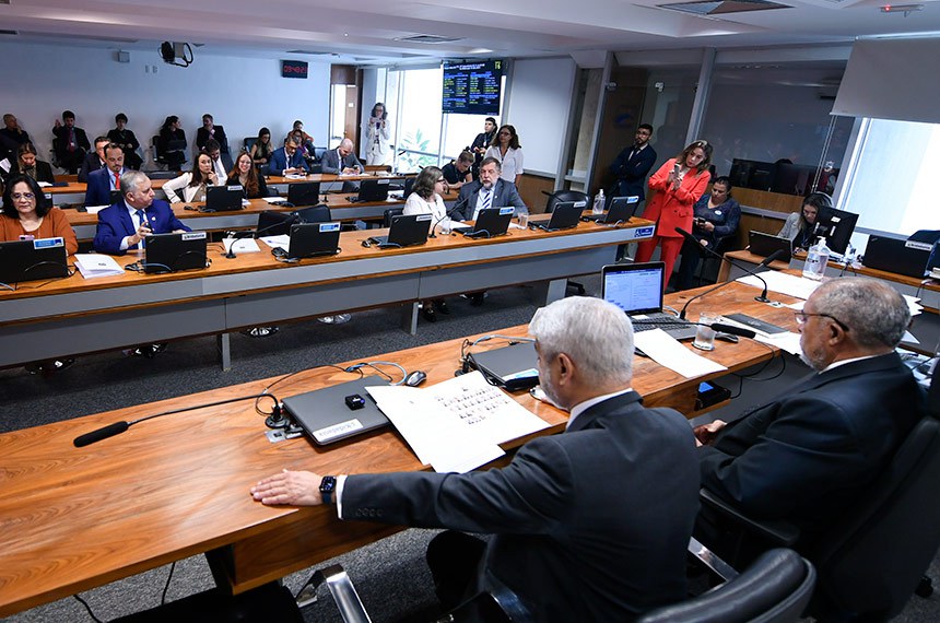 Bancada:
senadora Damares Alves (Republicanos-DF); 
senador Izalci Lucas (PSDB-DF);
senadora Teresa Leitão (PT-PE); 
senador Flávio Arns (PSB-PR).
