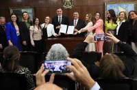 Senado une instituições para lançar mapa sobre violência de gênero