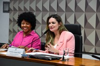 Violência contra a mulher: pesquisa nacional e Mapa serão tema de debates