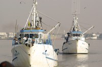 Sancionado título de Capital Nacional da Pesca para Itajaí (SC)
