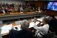 Brasil cobrará recursos na COP 28, diz Marina a senadores