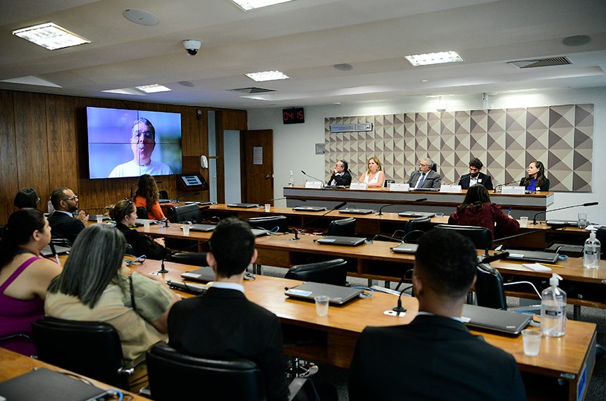 Mesa: 
diretor do Departamento de Benefícios Assistenciais do Ministério do Desenvolvimento e Assistência Social, Família e Combate à Fome, Raimundo Nonato Lopes de Sousa;
diretora nacional de Proteção da Pessoa com Deficiência do Ministério dos Direitos Humanos e Cidadania, Naira Rodrigues Gaspar;
presidente da CDH, senador Paulo Paim (PT-RS);
especialista em Políticas Públicas e Gestão Governamental - Gerente de Projeto, da Secretaria Adjunta VIII da Secretaria Especial de Articulação e Monitoramento da Casa Civil da Presidência da República, Sandro Eli Malcher de Alencar;
especialista em Políticas Públicas e Gestão Governamental - Diretoria de Estudos e Políticas Sociais do Instituto de Pesquisa Econômica Aplicada (Disoc/Ipea), Liliane Cristina Gonçalves Bernardes.