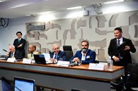 Debatedores defendem manutenção de vetos ao texto que revogou a LSN