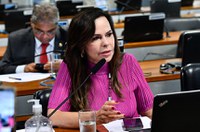 CCJ rejeita emenda a projeto que valoriza profissionais da educação básica