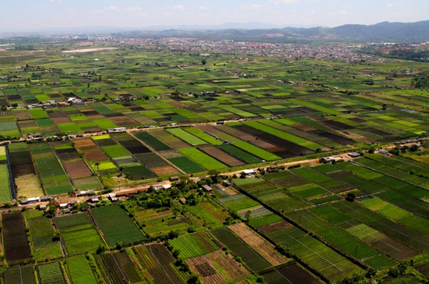 Além disso, o papel do cinturão verde nas atividades da agricultura tem resultado melhor qualidade e produtividade dos alimentos produzidos e comercializados.