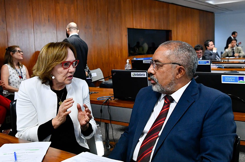 Bancada:
senadora Zenaide Maia (PSD-RN); 
senador Paulo Paim (PT-RS).