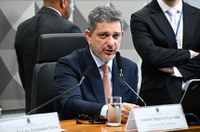 Comissão mista aprova relatório da MP das subvenções para investimentos