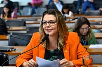 Garantia de alimentos para mulheres vítimas de violência passa na CDH