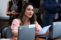 CMA pauta projeto que proíbe fogos de artifício com estampido em todo o país