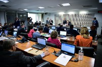 CCJ pode votar matérias para aumentar segurança no ambiente digital