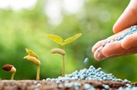 CRA avalia incentivo para fertilizantes e regras de licenciamento ambiental