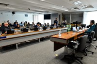 Comissão de Agricultura aprova incentivo à produção de coco