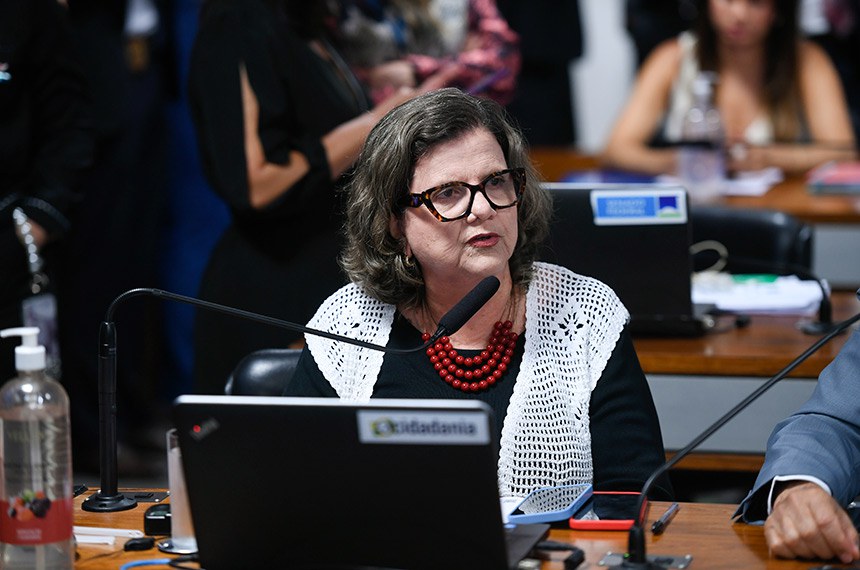 Em pronunciamento, à bancada, relatora do PL 1.303/2019, senadora Teresa Leitão (PT-PE).