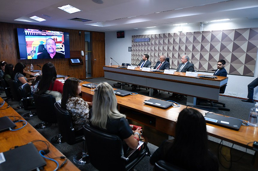 Mesa: 
diretor executivo da Associação Nacional dos Aposentados, Deficientes, Idosos, Pensionistas e dos Segurados da Previdência Social (Anadips), Nery Charlie Batista Neri;
presidente da CDH, senador Paulo Paim (PT-RS);
presidente da Confederação Nacional das Carreiras e Atividades Típicas de Estado (Conacate), Antonio Carlos Fernandes Lima Junior;
defensor público federal, Eduardo Kassuga.