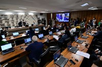 CAE aprova respaldo legal ao Programa Nacional da Agricultura Familiar